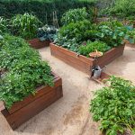 Potager Garden-healthystartwebinar.com