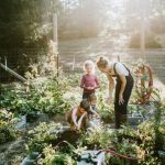 Potager Garden - healthystartwebinar.com