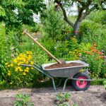 Potager Garden - healthystartwebinar.com