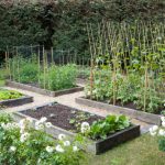 Potager Garden - healthystartwebinar.com