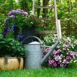 Potager Garden-healthystartwebinar.com