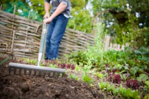 Potager Garden-healthystartwebinar.com