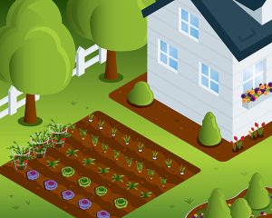 Potager Garden-healthystartwebinar.com