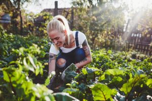 Potager Garden - healthystartwebinar.com